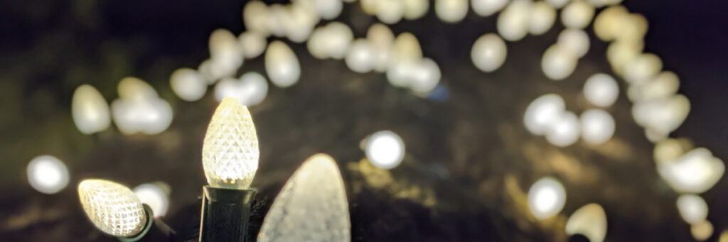 looking up at large white christmas lights wrapped around a large oak tree trunk. the lights in the foreground are clear and the background are blurry