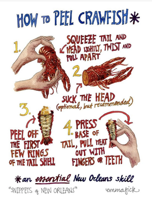 How to peel crawfish: 1. squeeze tail and head lightly, twist and pull apart, 2. suck the head (optional, but recommended), 3. peel off the first few rings of the tail shell, 4. press base of tail, pull meat out with fingers or teeth. An essential New Orleans skill.