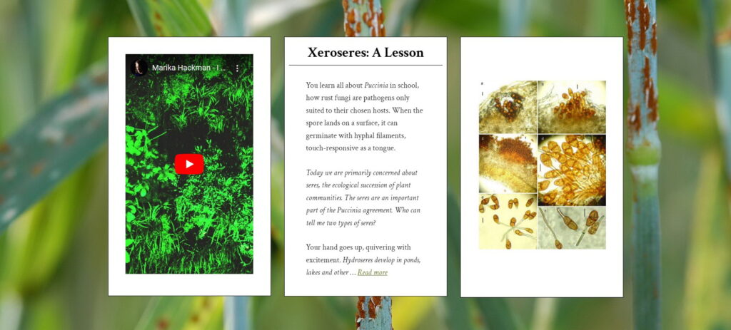 Xeroseres: A Lesson triptych